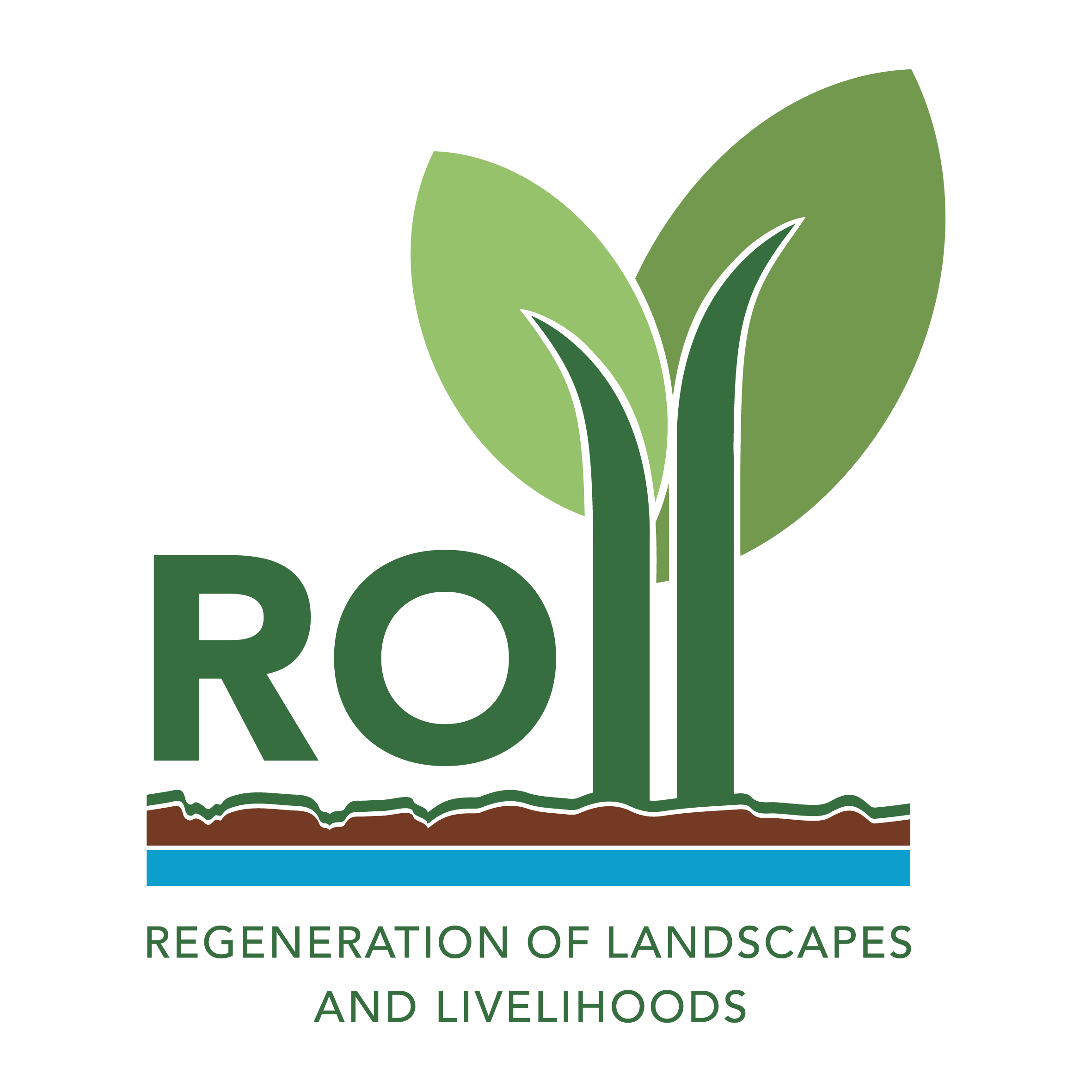 Organization Logo