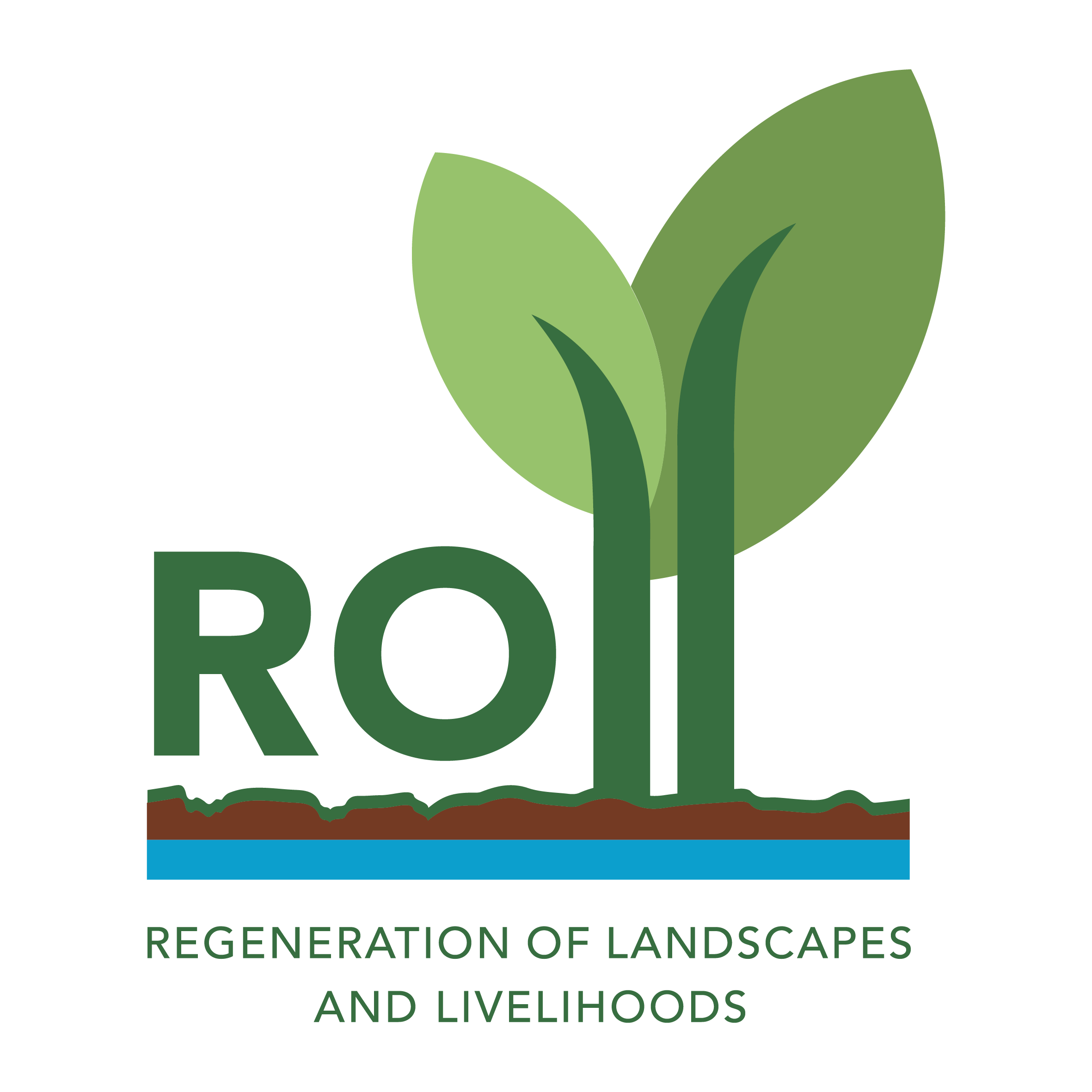 Organization Logo