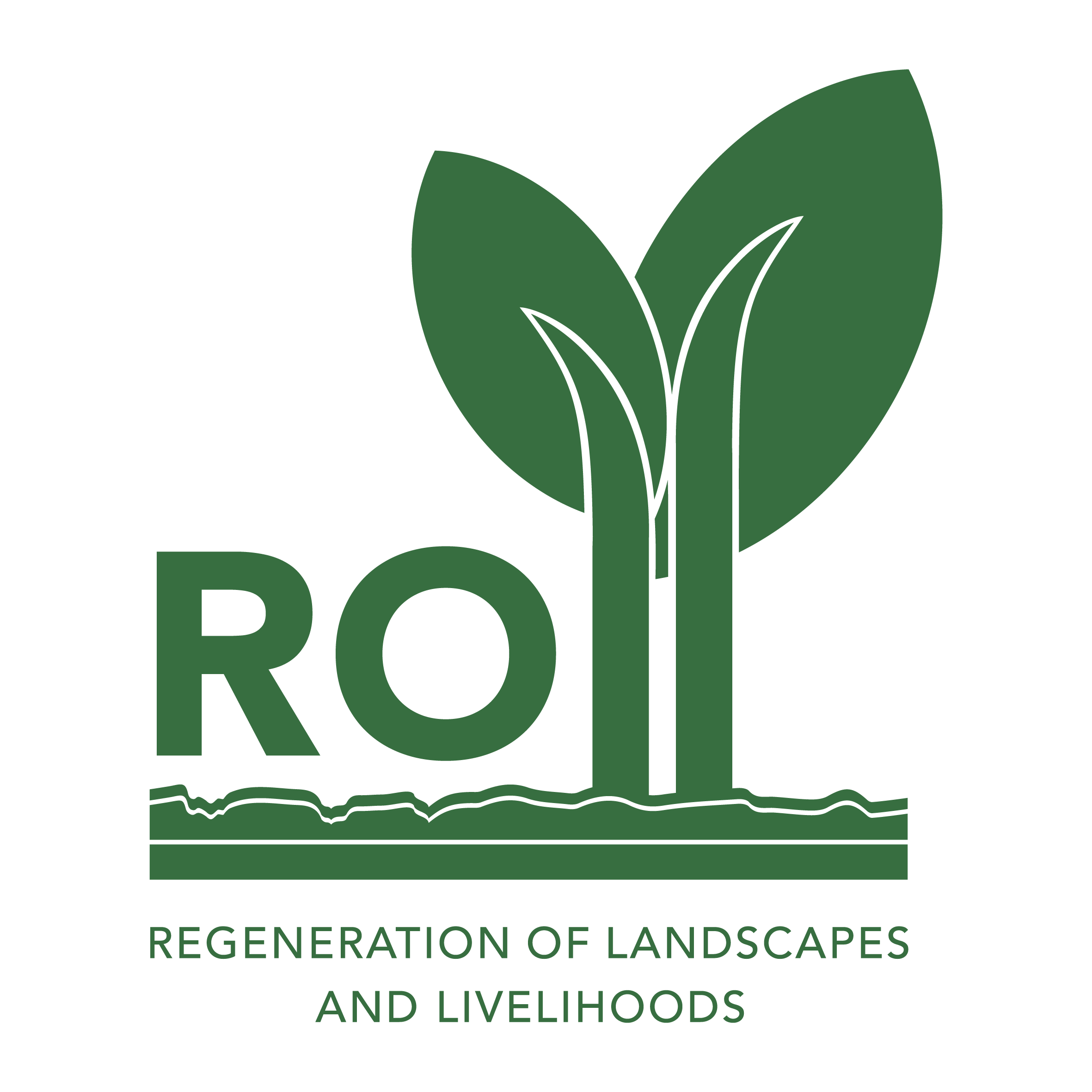 Organization Logo
