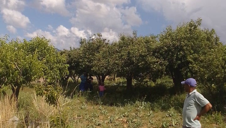 Testing  Testing Tested thumbnail